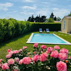 Un Coin Tropical En Provence ! Maison d'hôtes LʼIsle-sur-la-Sorgue